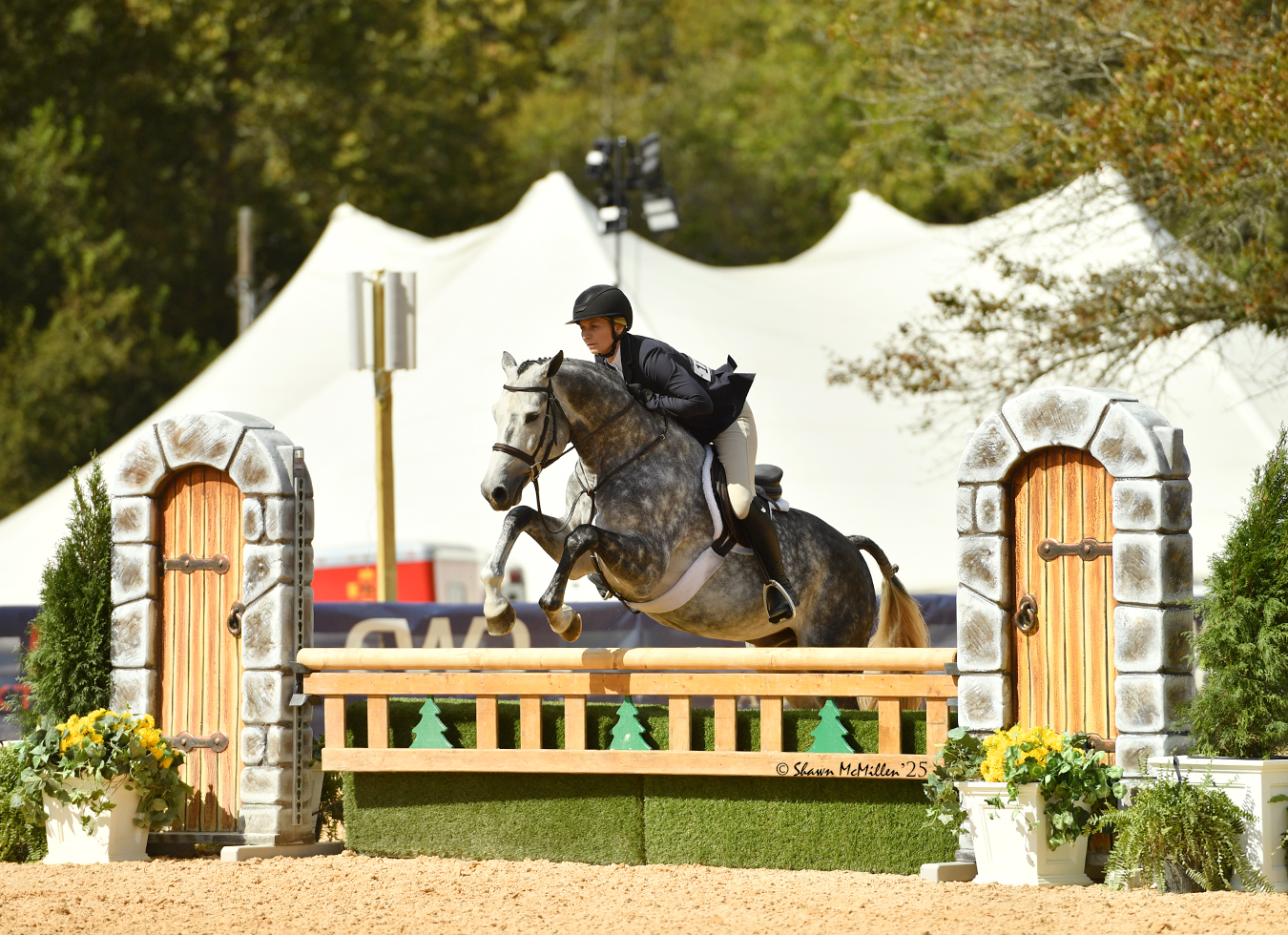 Gray horse and rider jumping a hunter course at Capital Challenge
